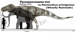 TRex vs Whoolly Mammoth